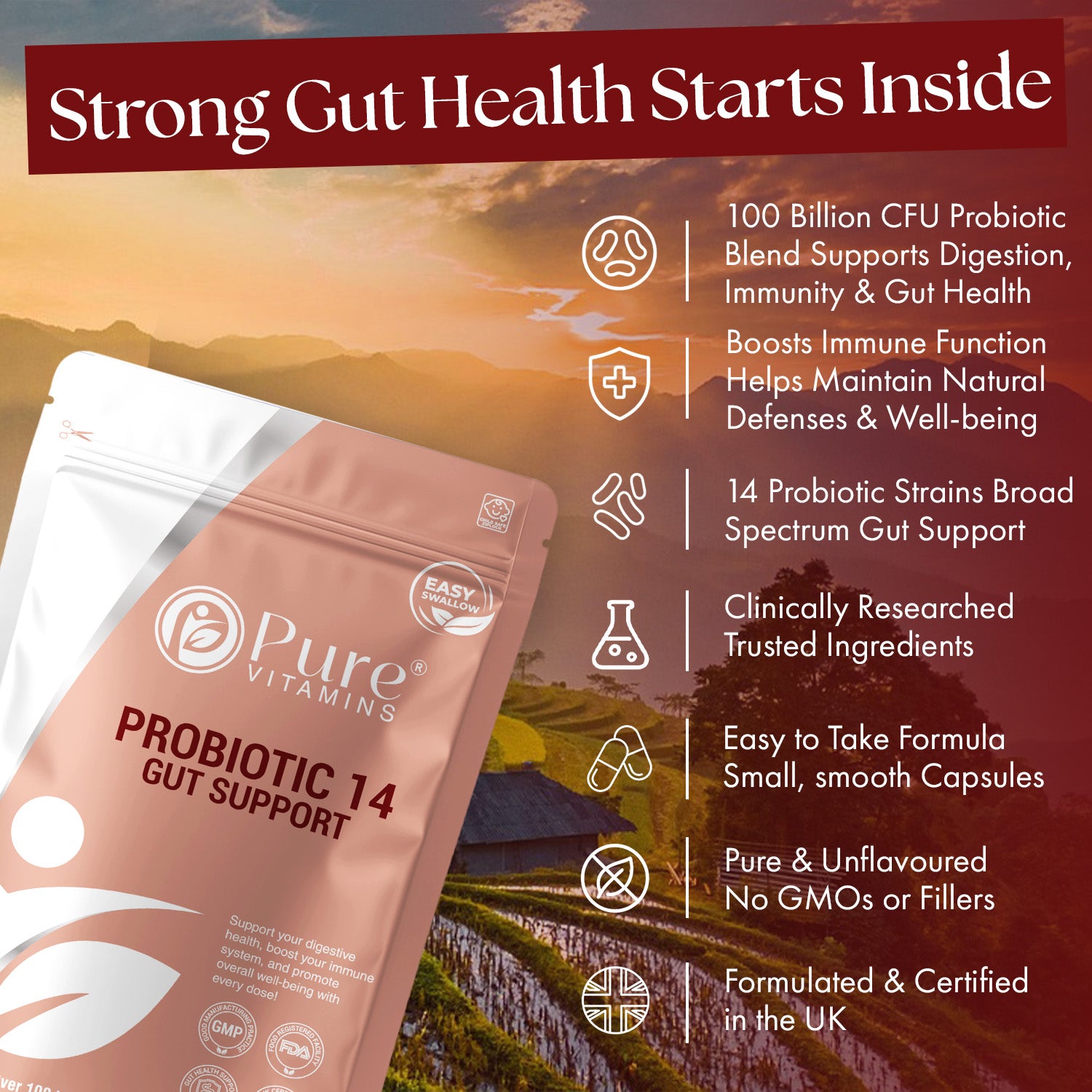 Support Digestive Health with Probiotic 14 Capsules | Pure Vitamins
